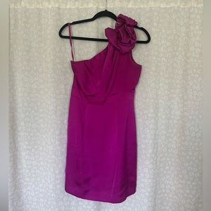 The Limited Fuchsia One Shoulder Dress
